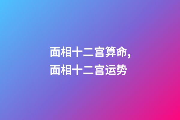 面相十二宫算命,面相十二宫运势