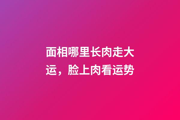 面相哪里长肉走大运，脸上肉看运势