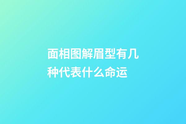 面相图解眉型有几种代表什么命运