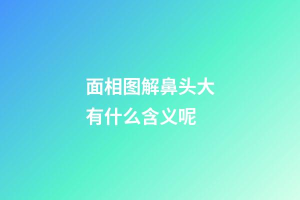 面相图解鼻头大有什么含义呢