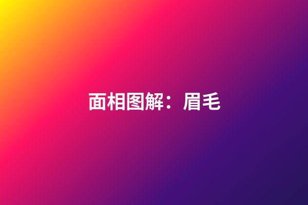 面相图解：眉毛