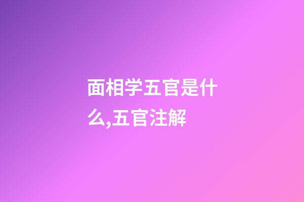 面相学五官是什么,五官注解