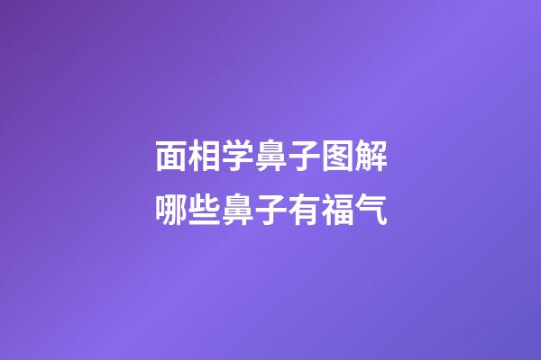 面相学鼻子图解哪些鼻子有福气