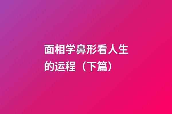 面相学鼻形看人生的运程（下篇）