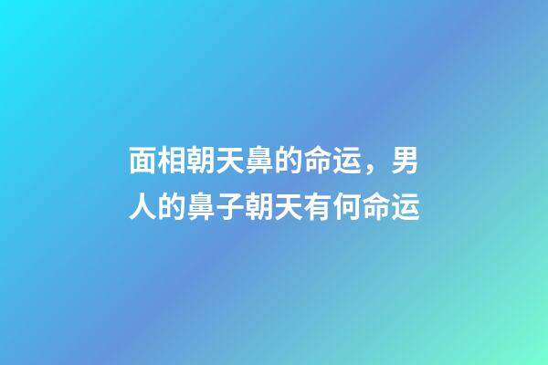 面相朝天鼻的命运，男人的鼻子朝天有何命运