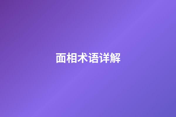 面相术语详解