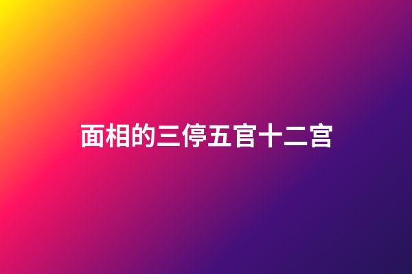 面相的三停五官十二宫