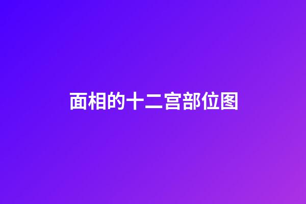 面相的十二宫部位图