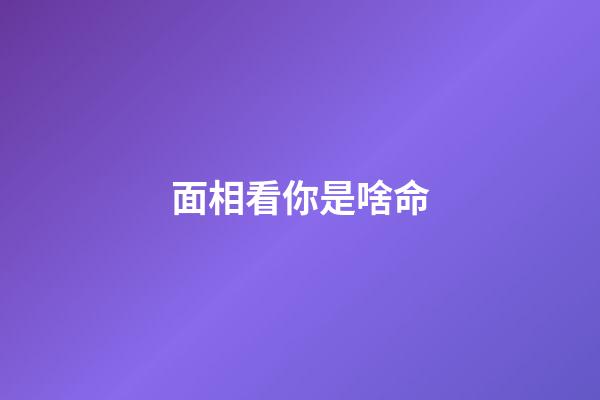 面相看你是啥命