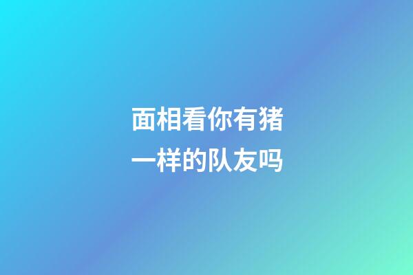 面相看你有猪一样的队友吗