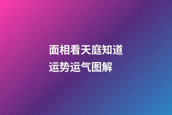 面相看天庭知道运势运气图解