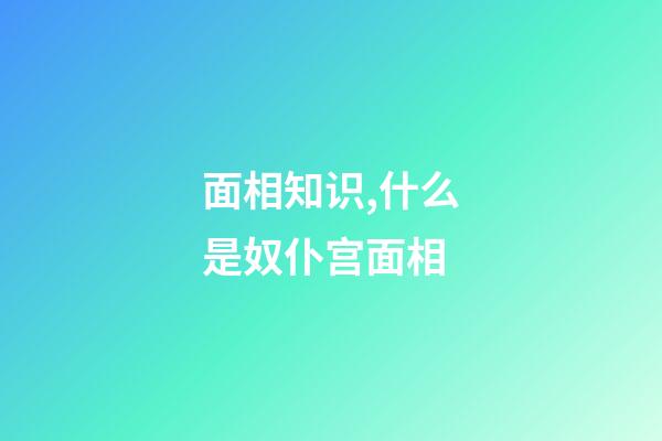 面相知识,什么是奴仆宫面相
