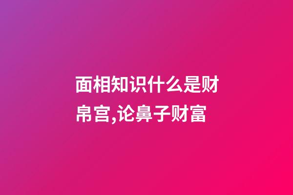 面相知识什么是财帛宫,论鼻子财富