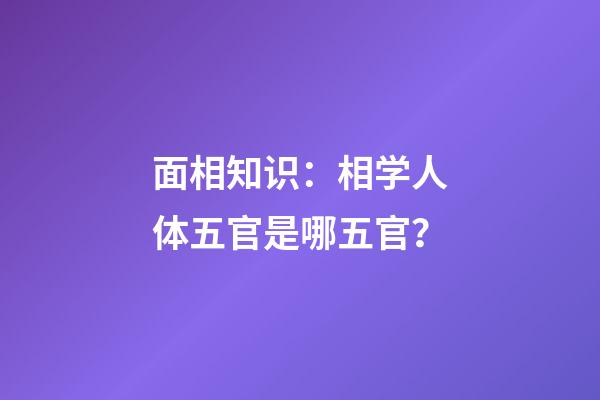 面相知识：相学人体五官是哪五官？