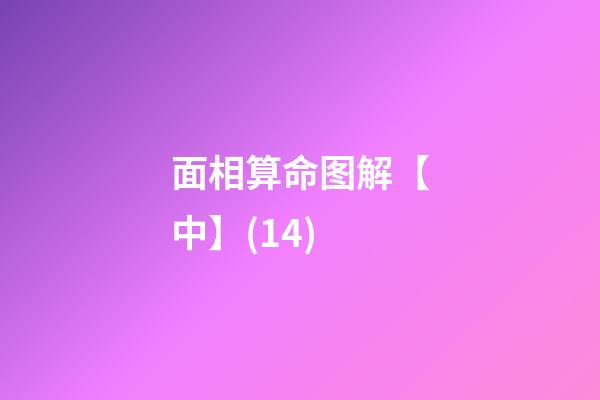 面相算命图解【中】(14)