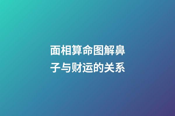 面相算命图解鼻子与财运的关系