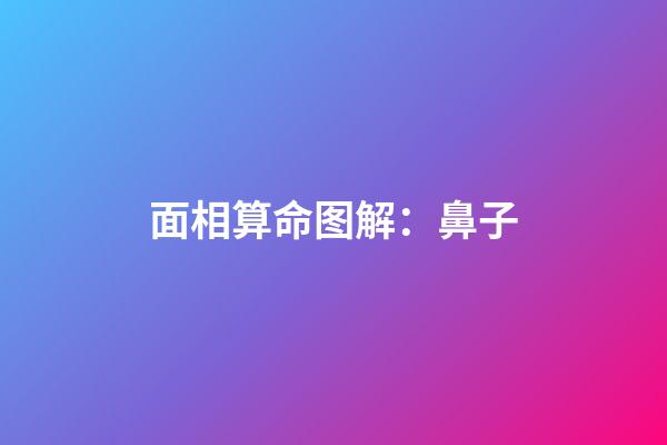 面相算命图解：鼻子