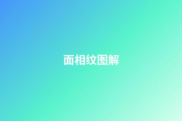 面相纹图解