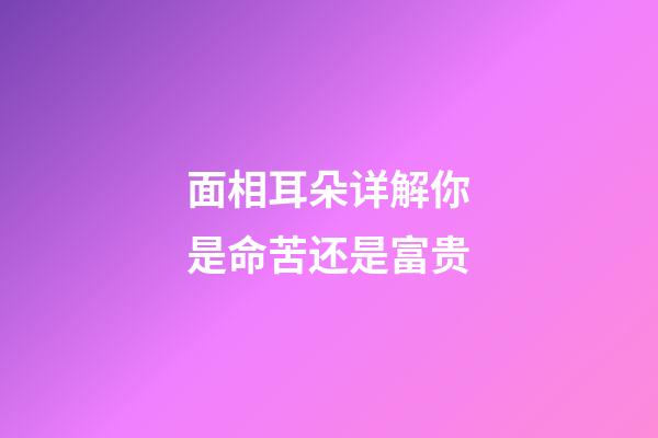 面相耳朵详解你是命苦还是富贵