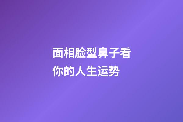 面相脸型鼻子看你的人生运势