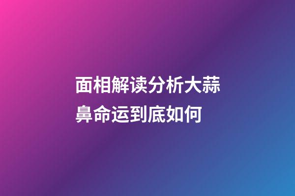 面相解读分析大蒜鼻命运到底如何