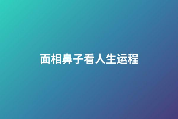 面相鼻子看人生运程