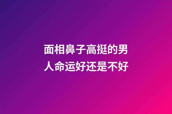 面相鼻子高挺的男人命运好还是不好