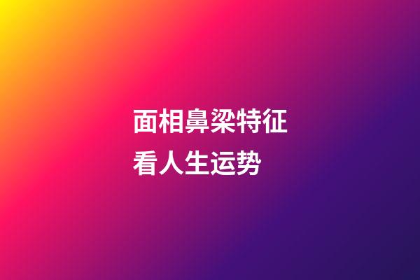 面相鼻梁特征看人生运势