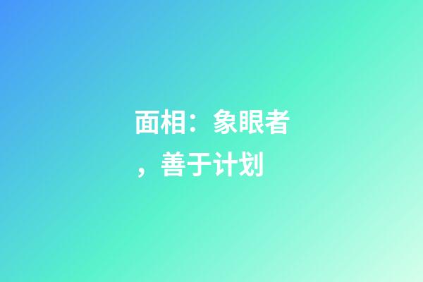 面相：象眼者，善于计划
