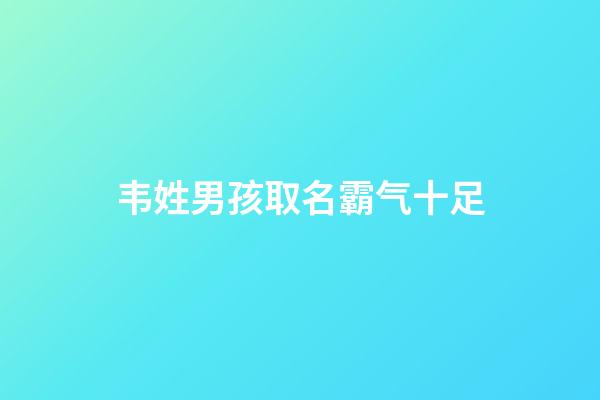 韦姓男孩取名霸气十足