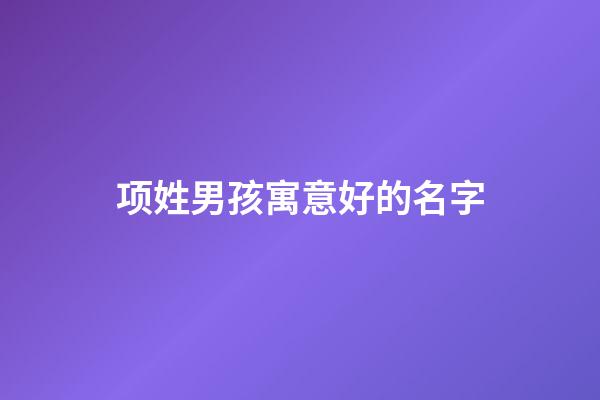 项姓男孩寓意好的名字