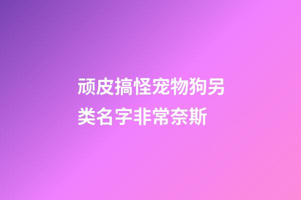 顽皮搞怪宠物狗另类名字非常奈斯