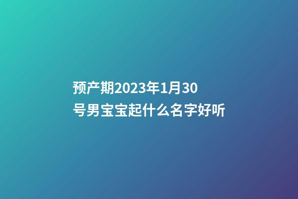 预产期2023年1月30号男宝宝起什么名字好听