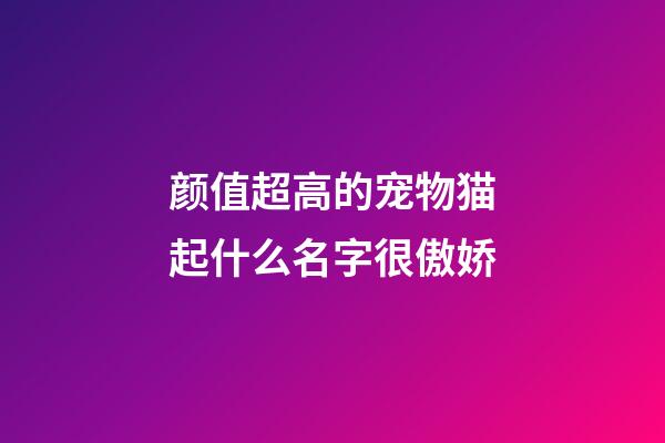 颜值超高的宠物猫起什么名字很傲娇