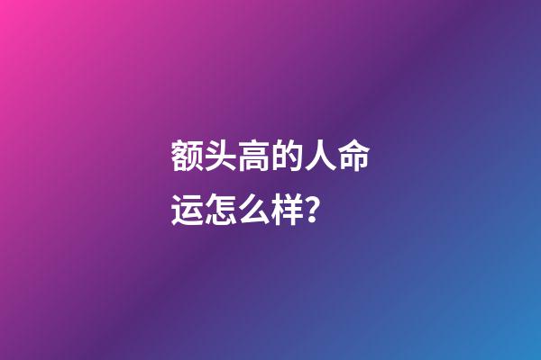 额头高的人命运怎么样？