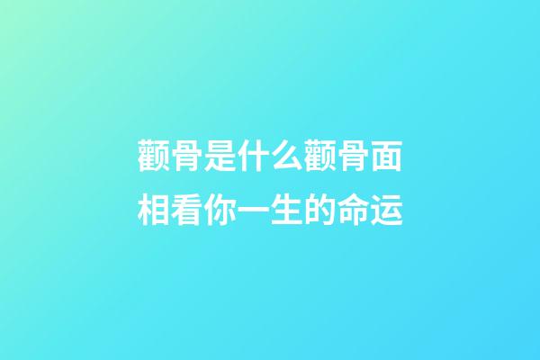 颧骨是什么颧骨面相看你一生的命运