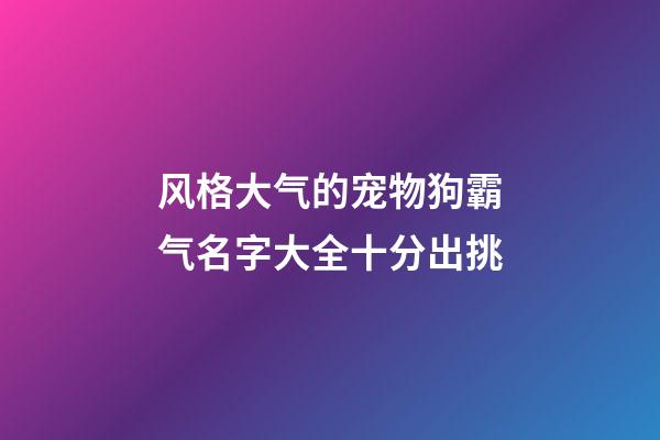 风格大气的宠物狗霸气名字大全十分出挑