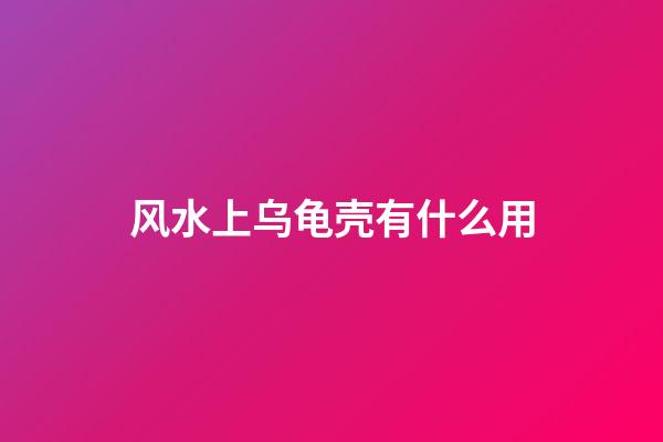 风水上乌龟壳有什么用