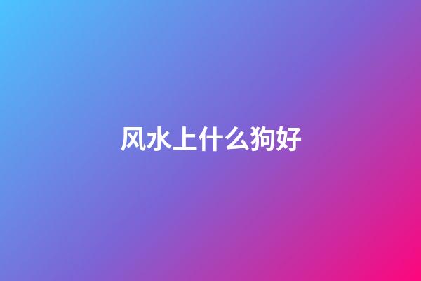 风水上什么狗好