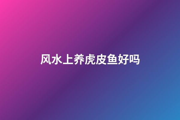 风水上养虎皮鱼好吗