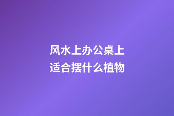 风水上办公桌上适合摆什么植物