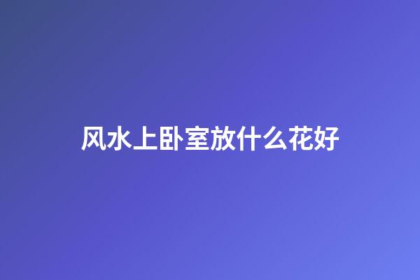 风水上卧室放什么花好