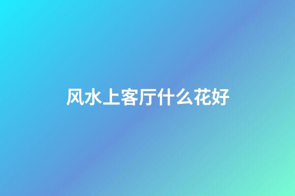 风水上客厅什么花好