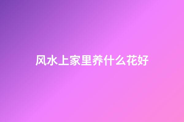 风水上家里养什么花好