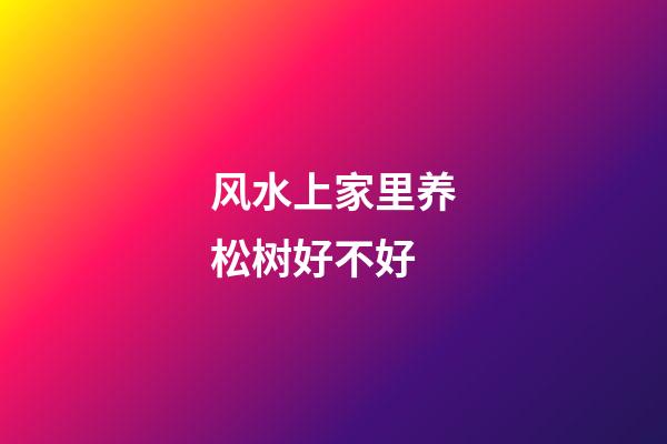 风水上家里养松树好不好