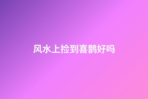 风水上捡到喜鹊好吗