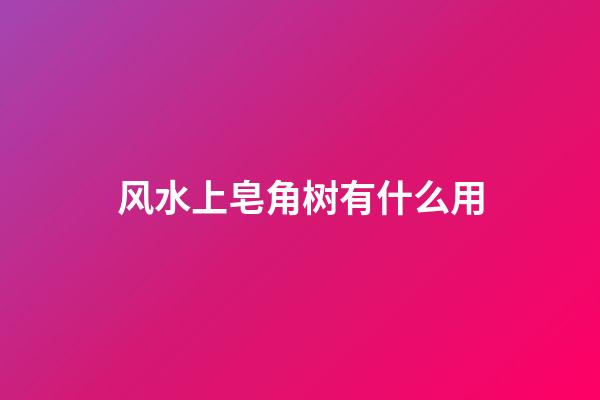 风水上皂角树有什么用