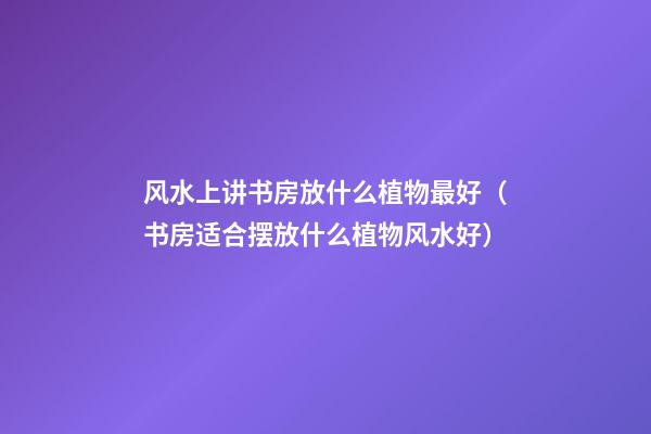 风水上讲书房放什么植物最好（书房适合摆放什么植物风水好）
