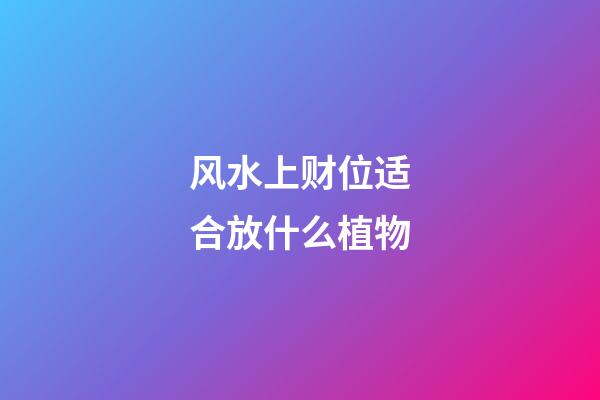 风水上财位适合放什么植物