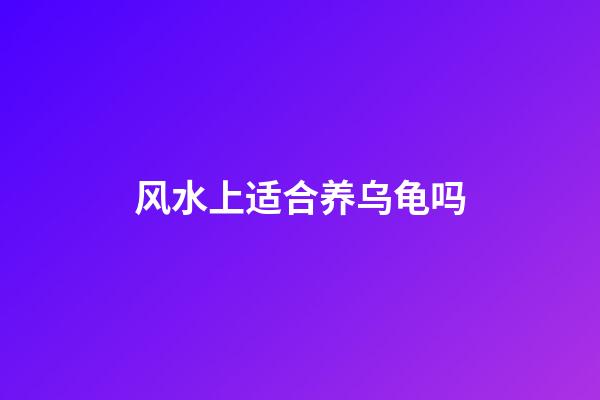 风水上适合养乌龟吗